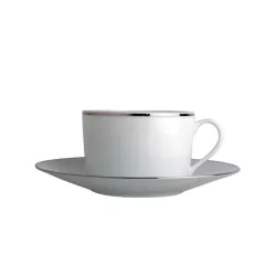 TEA CUP WITH SAUCER,...