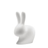 RABBIT OUTDOOR LAMP, 90006LED