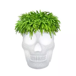 PLANTER / CHAMPAGNE BUCKET...