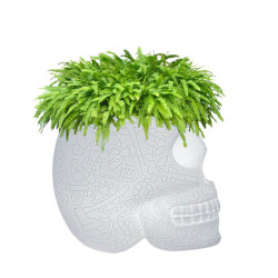 PLANTER / CHAMPAGNE BUCKET LED, MEXICO 70009LED