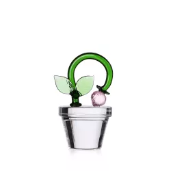 FERMACARTE FRAGOLA FRUITS &...