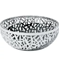 FRUTTIERA, CACTUS MSA04