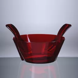 INSALATIERA FULMINE CON POSATE