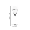 SET OF 2 CHAMPAGNE GLASSES DEFINITION, 1350169