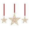 SET OF 3 FESTIVE ORNAMENT,ANNUAL EDITION 2023, 5649780