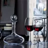 DECANTER OENOLOGIE, 2100417
