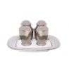 SALT AND PEPPER SET WITH TRAY FINE PAISLEY OSALPEP001/VEL2/7036