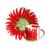 SET DI 4 TAZZE CAFFÈ CON PIATTINO - RED PEPPER