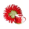 SET DI 4 TAZZE CAFFÈ CON PIATTINO - RED PEPPER