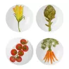 SET OF 4 ASSORTED SOUP PLATE 20,5 CM - FREEDOM
