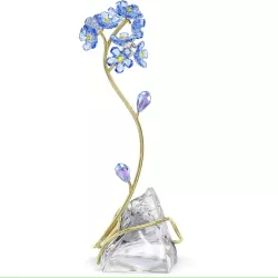 FORGET ME NOT, FLORERE,...