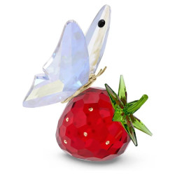 IDYLLIA BUTTERFLY AND STRAWBERRY, 5666846