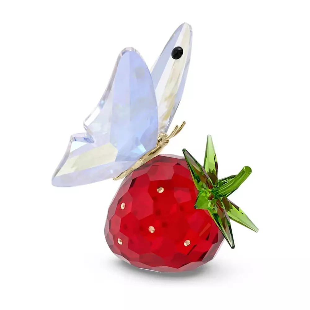 IDYLLIA BUTTERFLY AND STRAWBERRY, 5666846