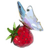IDYLLIA BUTTERFLY AND STRAWBERRY, 5666846