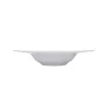 SET OF 4 COUPE PLATES, WHITE NATURE 13-3-5