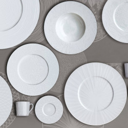 SET OF 4 COUPE PLATES, WHITE NATURE 13-3-5