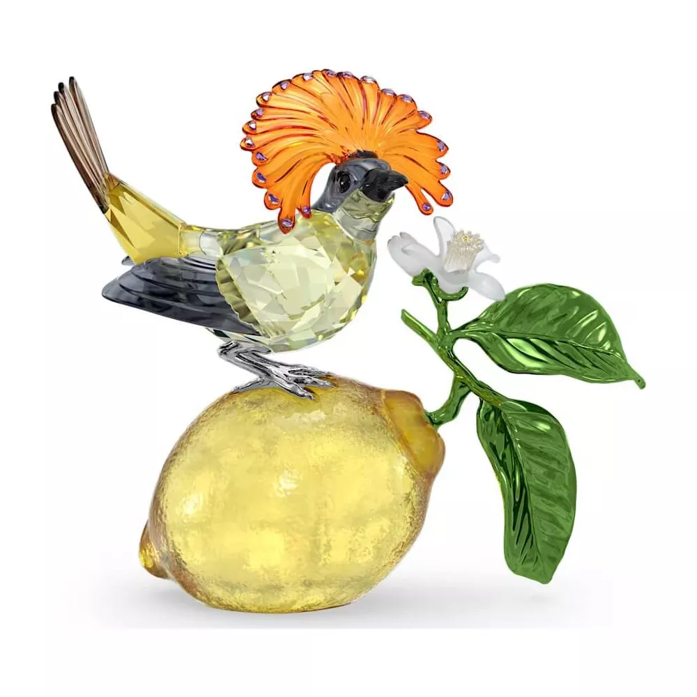 IDYLLIA ROYAL FLYCATCHER 5651811