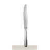 SILVER PLATED TABLE KNIFE 0016009 CLUNY