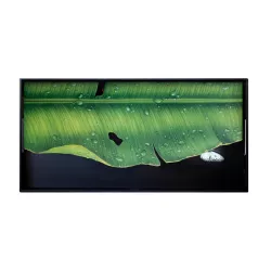 VASSOIO MEDIO 66 x 33 CM -...