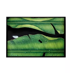 VASSOIO GRANDE 66 x 45 CM -...