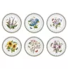 SET OF 6 DINNER PLATES 25 CM, BOTANIC GARDEN