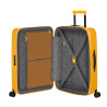 SPINNER LUGGAGE DASHPOP