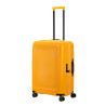 SPINNER LUGGAGE DASHPOP