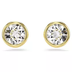 IMBER STUD EARRINGS