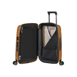 TROLLEY SUITCASE, PROXIS