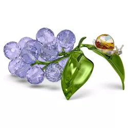 LUMACA E MIRTILLI, IDYLLIA...