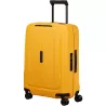 TROLLEY SUITCASE, ESSENS
