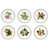 SET OF 6 DINNER PLATES 25 CM, POMONA