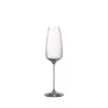 CHAMPAGNE FLUTE, TAC
