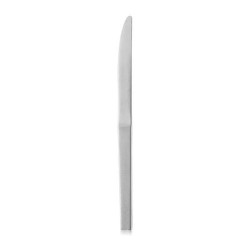 STAINLESS STEEL TABLE KNIFE...