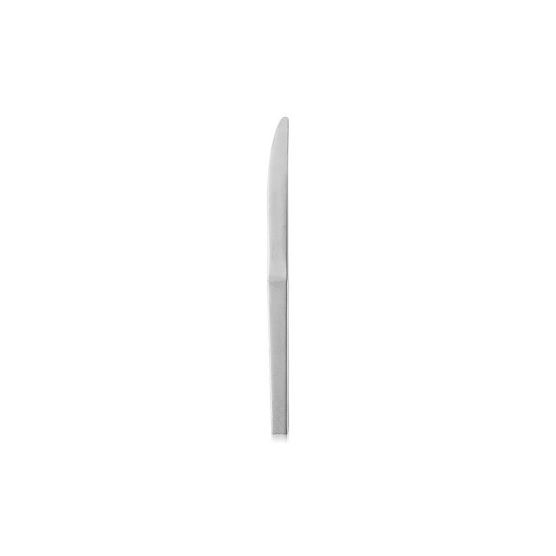 STAINLESS STEEL TABLE KNIFE 8803 HTS