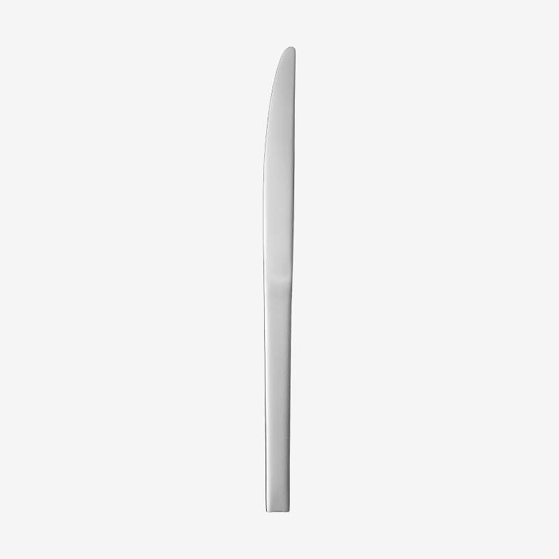 STAINLESS STEEL DESSERT KNIFE 8809 HTS