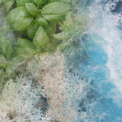 PROFUMO AMBIENTE ACQUA CON DIFFUSORE