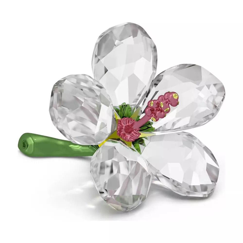 FLORERE HIBISCUS, SMALL 5690534