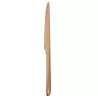 TABLE KNIFE, AME DE CHRISTOFLE