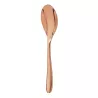 TABLE SPOON, AME DE CHRISTOFLE
