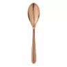 TABLE SPOON, AME DE CHRISTOFLE