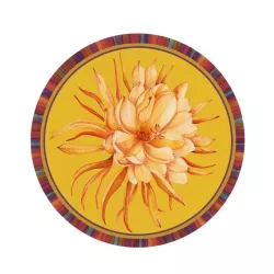 TOVAGLIETTA RIGIDA, PROTEA...