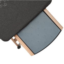 ASSE DA STIRO, ASSAI 4.0