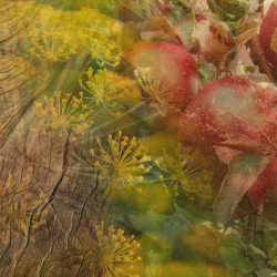 PROFUMO AMBIENTE CON DIFFUSORE, CALVADOS