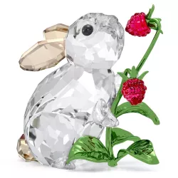 RABBIT AND RASPBERRIES,...