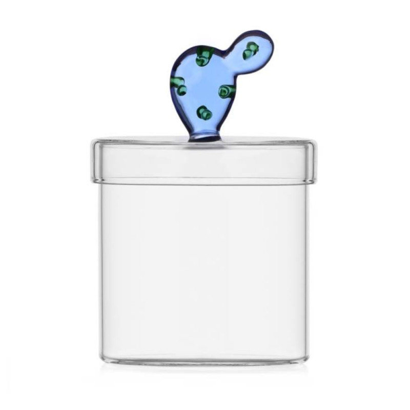 SCATOLA CACTUS, BLU 352.274