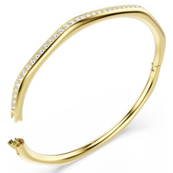 BRACCIALE RIGIDO DEXTERA