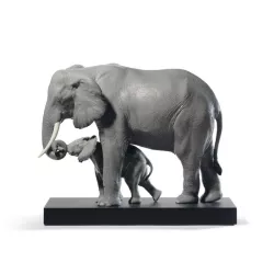 LEADING THE WAY ELEPHANTS...