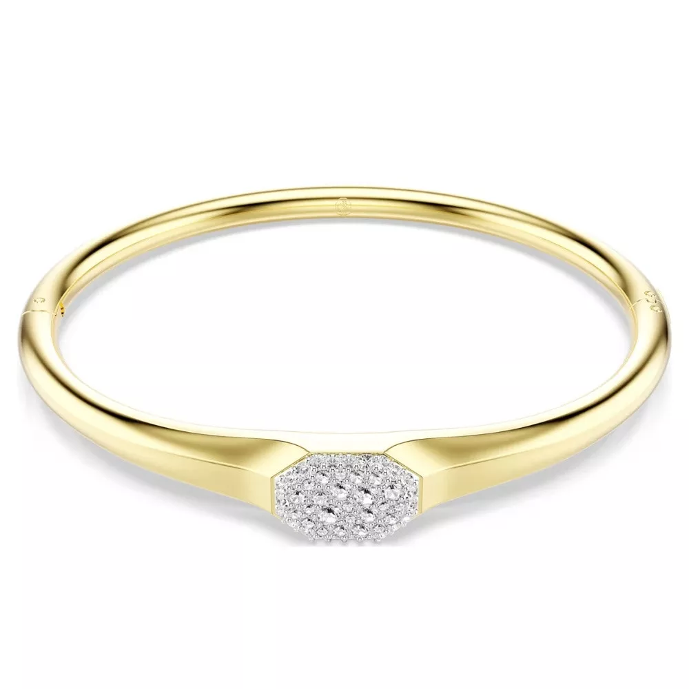 BRACCIALE RIGIDO DEXTERA