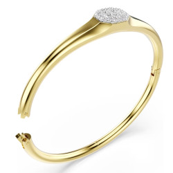 BRACCIALE RIGIDO DEXTERA